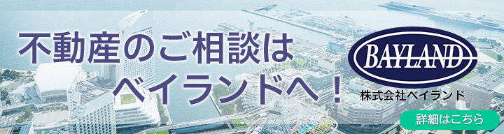 �o�i�[�FBAYLAND