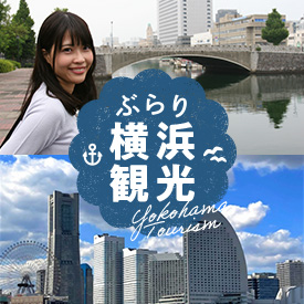 �_���� �Ԃ�艡�l�ό�